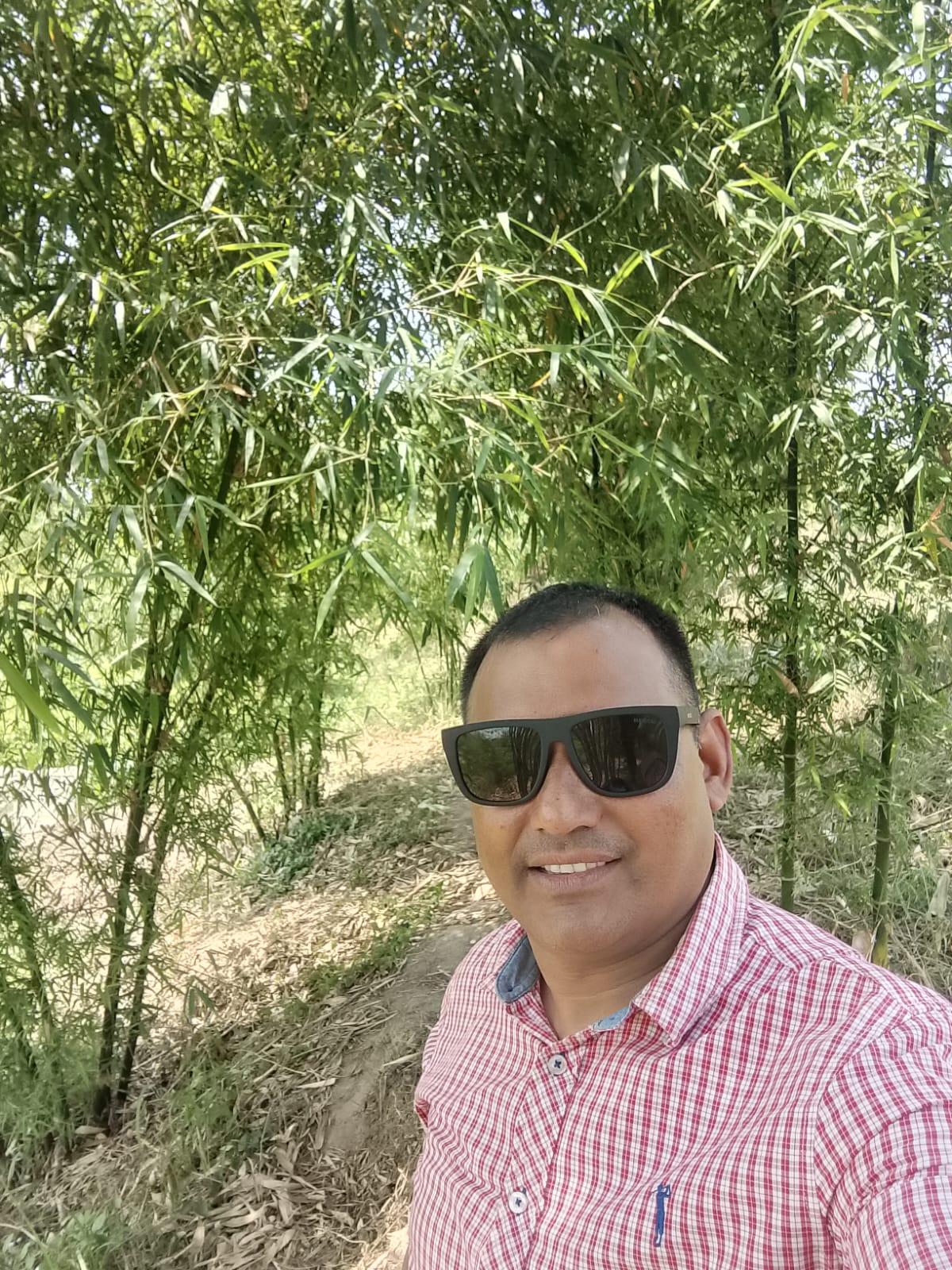 बाँस कार्यक्रम तथा गतिविधि