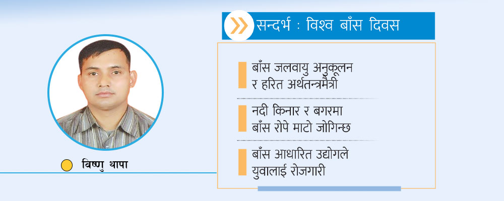 हरित अर्थतन्त्रमा बाँस
