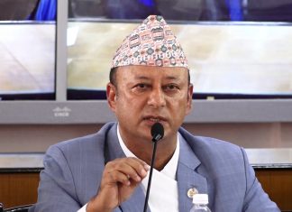 ‘बजार सुनिश्चित छ, जलविद्युत् क्षेत्रमा लगानी गर्नुस्’
